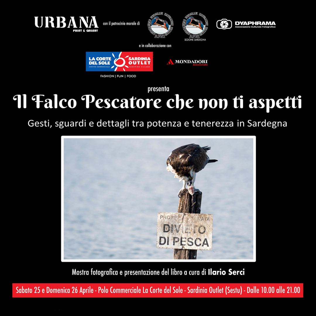 Promozione MA bookstore